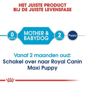 Royal Canin Suva hrana za štence Maxi Starter 4kg. - Img 3