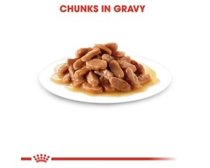 ROYAL CANIN Vlažna hrana u sosu za mačiće od 4 do 12 meseci KITTEN Instinctive 85gr x 12 kesica - Img 2