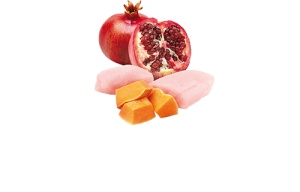 N&D Vlažna hrana konzerva Cat Pumpkin Chicken&Pumpkin&Pomegranate 80g