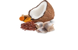 N&D Vlažna hrana konzerva Cat Quinoa Herring&Coconut 80g
