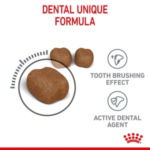 Royal Canin Dental Care Hrana za odrasle mačke 1.5kg - Img 3