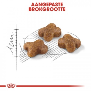 Royal Canin Suva hrana za mačiće Kitten 36 - 4kg - Img 3