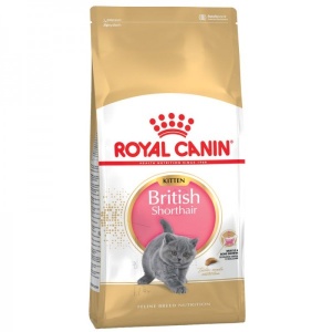 Royal Canin Suva hrana za mačiće Kitten British Shorthair - 2kg. - Img 2