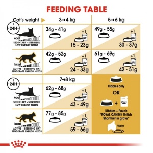 Royal Canin Suva hrana za odrasle mačke Adult British Shorthair - 400gr. - Img 4