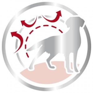Royal Canin Suva hrana za pse Medium Adult 1kg. - Img 3