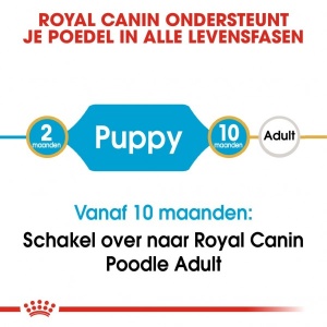 Royal Canin Suva hrana za pse Poodle Puppy 3kg. - Img 2
