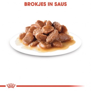 ROYAL CANIN Vlažna hrana za mačke preko 12 godina starosti, u sosu Ageing 85gr x 12kesica - Img 4