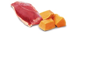 N&D Vlažna hrana konzerva Dog Pumpkin Mini Duck&Pumpkin 140g
