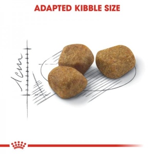 Royal Canin Suva hrana za odrasle mačke Indoor +7 - 1.5kg. - Img 2