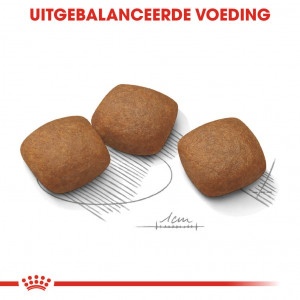 Royal Canin Suva hrana za pse Maxi Joint Care 12kg. - Img 2