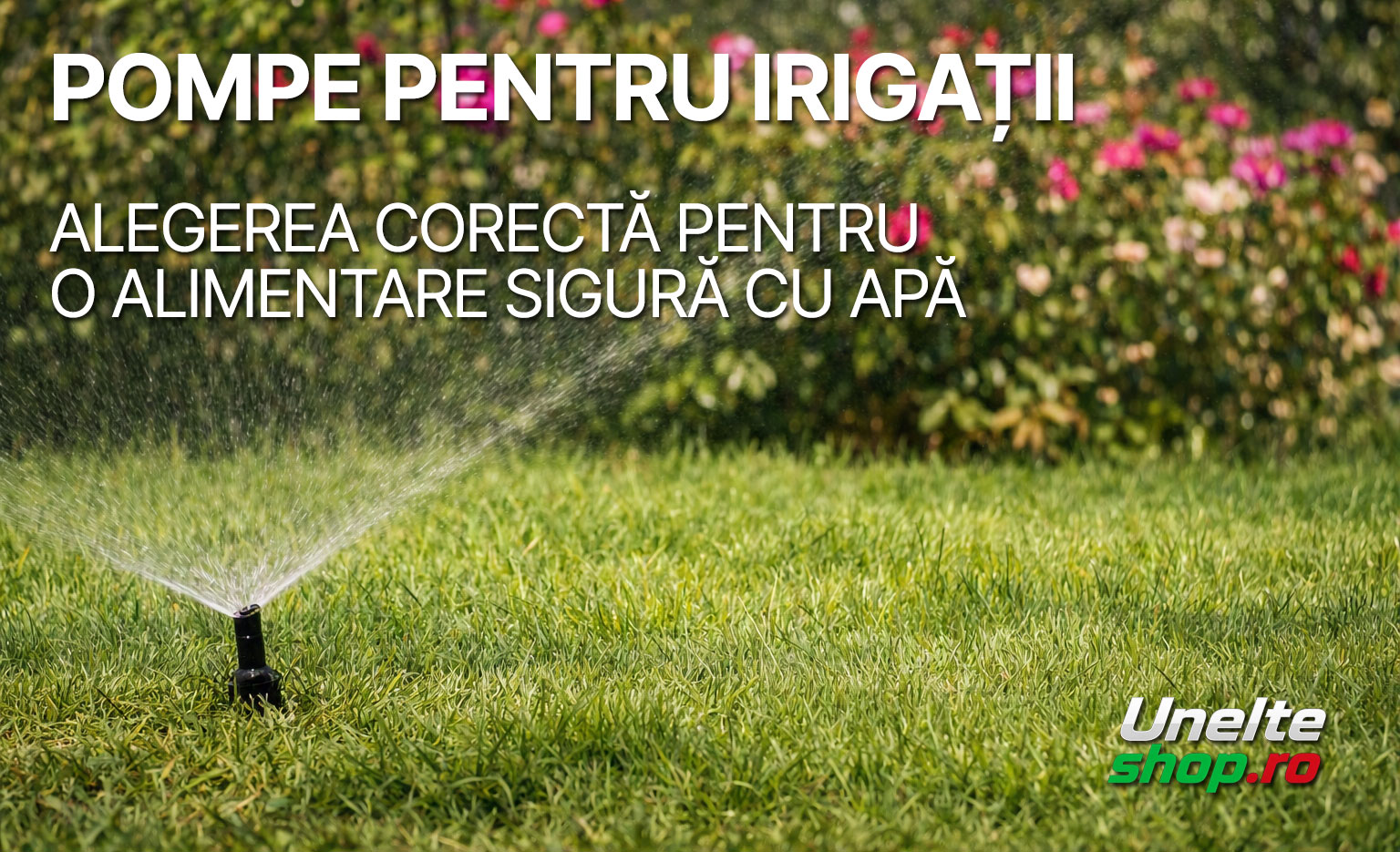 Pompe pentru irigatii - alegerea corecta pentru o alimentare sigura cu apa