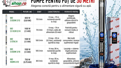 Pompe pentru puț de 30 metri - alegerea corectă pentru o alimentare sigură cu apă
