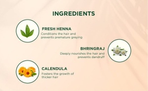 Șampon și Balsam FRESH HENNA Protecția Culorii - Img 3