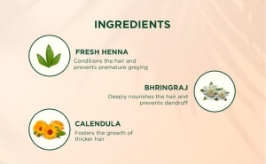 Șampon și Balsam FRESH HENNA Protecția Culorii - Img 3