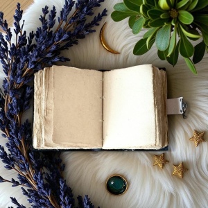 Jurnal Vintage din Piele Grimoire – Model Ciuperci de Noapte - Img 5