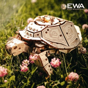 Testoasa EWA 2