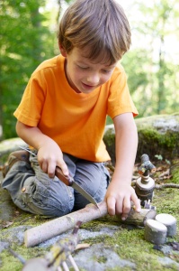 Fierăstrău Terra Kids Aplicare