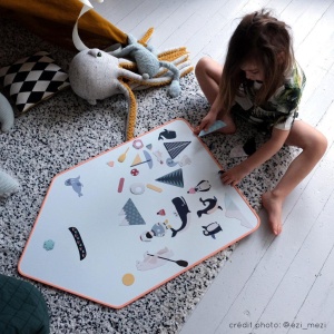 Joc Magnetic "Banchiza"  aplicare tabla