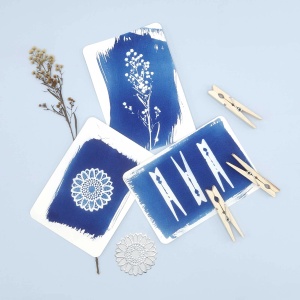Kit DIY Cianotipie (Cyanotype) – Imprimare Fotografică Solară pe Cărți Poștale - Img 4
