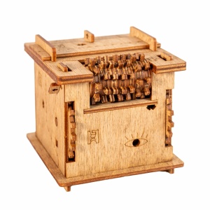 iDventure Cluebox Pisica lui Schrodinger – Dilema Cuantică într-un Puzzle