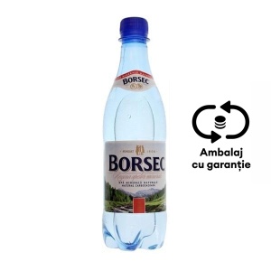 Apa minerala carbogazoasa Borsec, 0.5 l, 12 sticle/bax, eticheta SGR