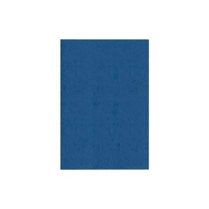 Coperti indosariere Apex, imitatie piele, A4, albastre, 100 coli/top