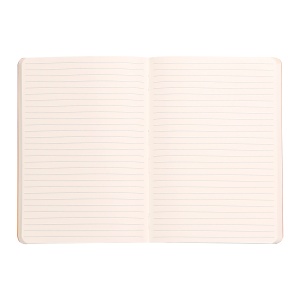 Notebook A5 Rhodiarama, 80 file, ivory, dictando, portocaliu - Img 2