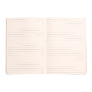 Notebook A5 Rhodiarama, 80 file, ivory, dictando, auriu - Img 2