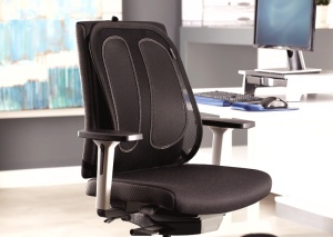 Suport Fellowes pentru spate, cu plasa - Img 5