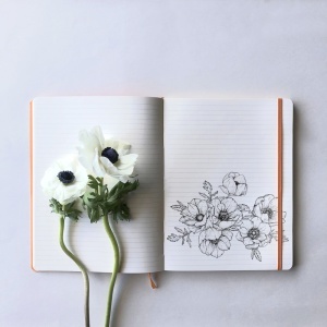 Notebook A5 Rhodiarama, 80 file, ivory, dictando, rosu - Img 3