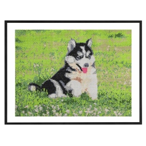 Pictura diamant Creative Craft, model caine, 40x50 cm