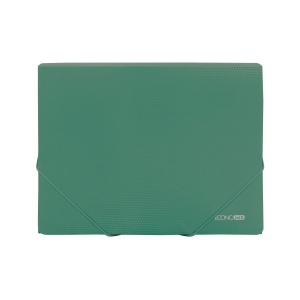 Mapa cu elastic, PP, 500 microni, verde, A4