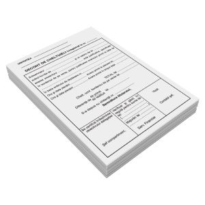 Decont cheltuieli deplasare, A5, 50 file, fata-verso
