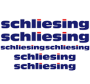 Schliesing