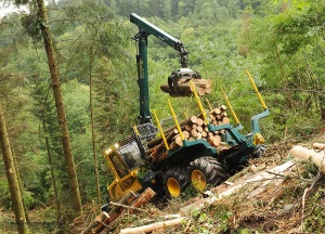 Forwarder HSM 208F 10t - Img 8