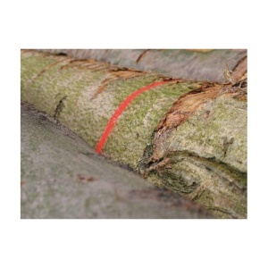 Spray marcare forestier Soppec Fluo Marker 500ml-alb - Img 2