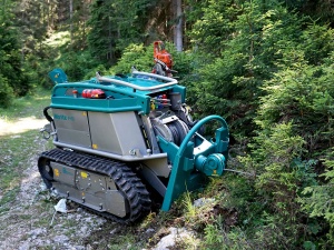 Transportor senilat-Moritz Fr75 - Img 2