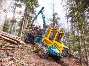 Forwarder HSM 208F 10t - Img 12