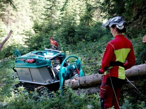 Transportor senilat-Moritz Fr70 - Img 3
