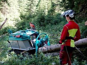 Transportor senilat-Moritz Fr75 - Img 3