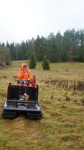 Transportor senilat-calut de fier Flex 2 - Img 3