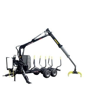 Macara forestiera Palms P 5.85