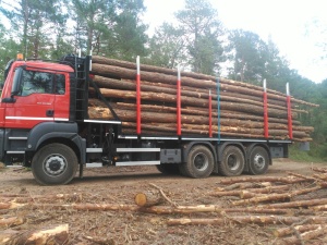 Racoante Ecco Steel 9 - Img 3