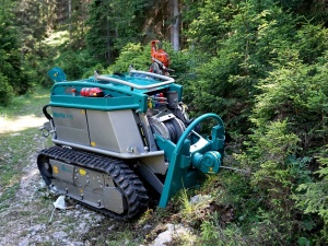 Transportor senilat-Moritz Fr70 - Img 2