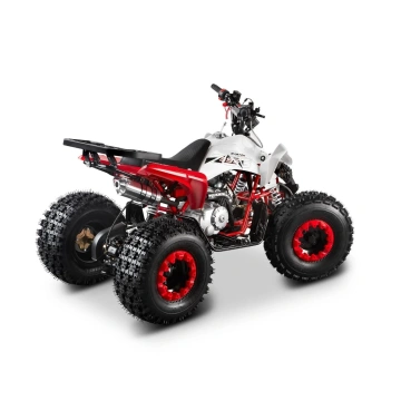 ATV Barton EAGLE 125cc - Img 3