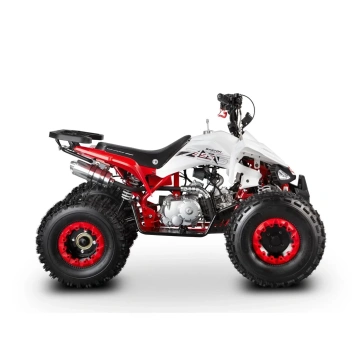 ATV Barton EAGLE 125cc - Img 2
