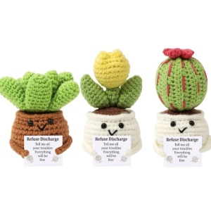 Kit de Crosetat DIY Mini Cactusi