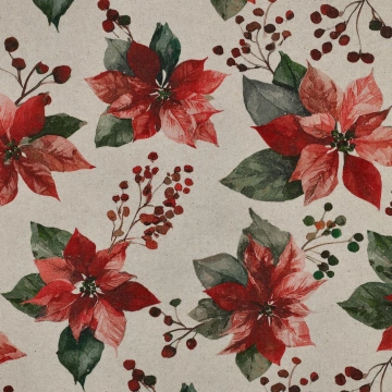 Canvas Crăciun - Poinsettia