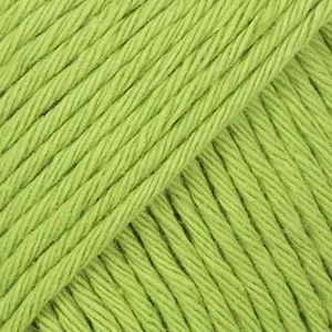 DROPS Paris Uni 39 - Wasabi