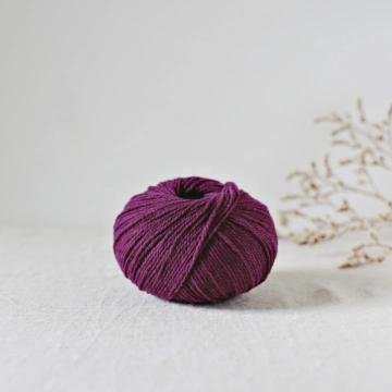 De Rerum Natura Ulysse - Pêche de Vigne